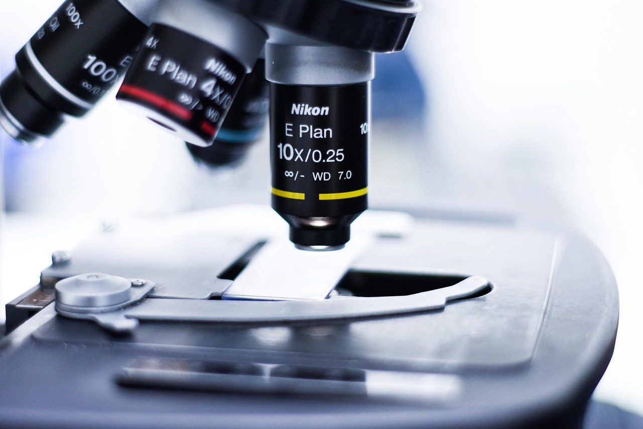 王国两位君主账号注册子箱