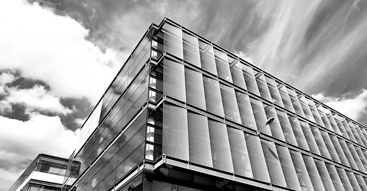 吸烟者的依赖和解毒策略