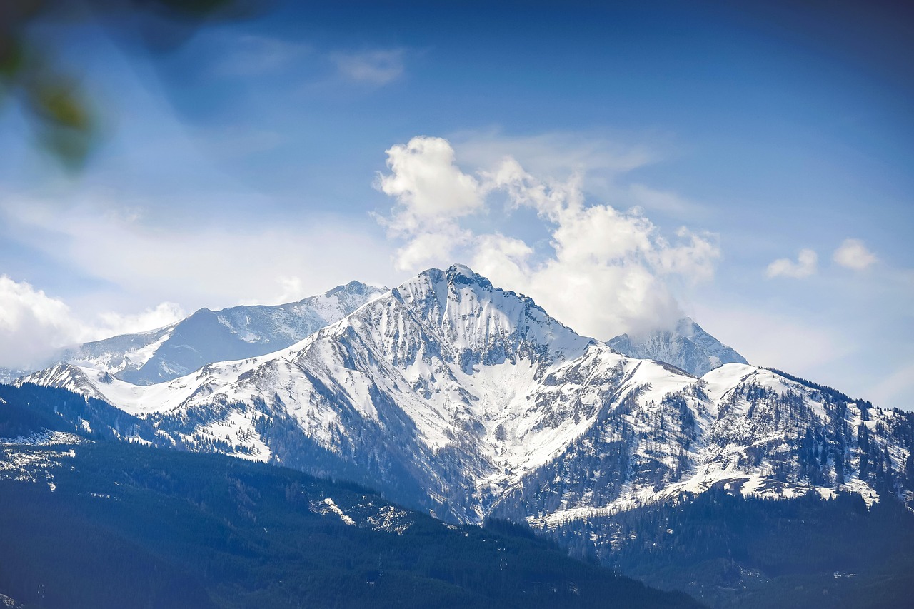 在线双语服务团队：怎么详情下载教程下架app