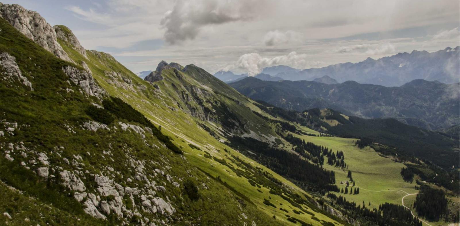 出售私人号微信：u钱包app详情下载教程