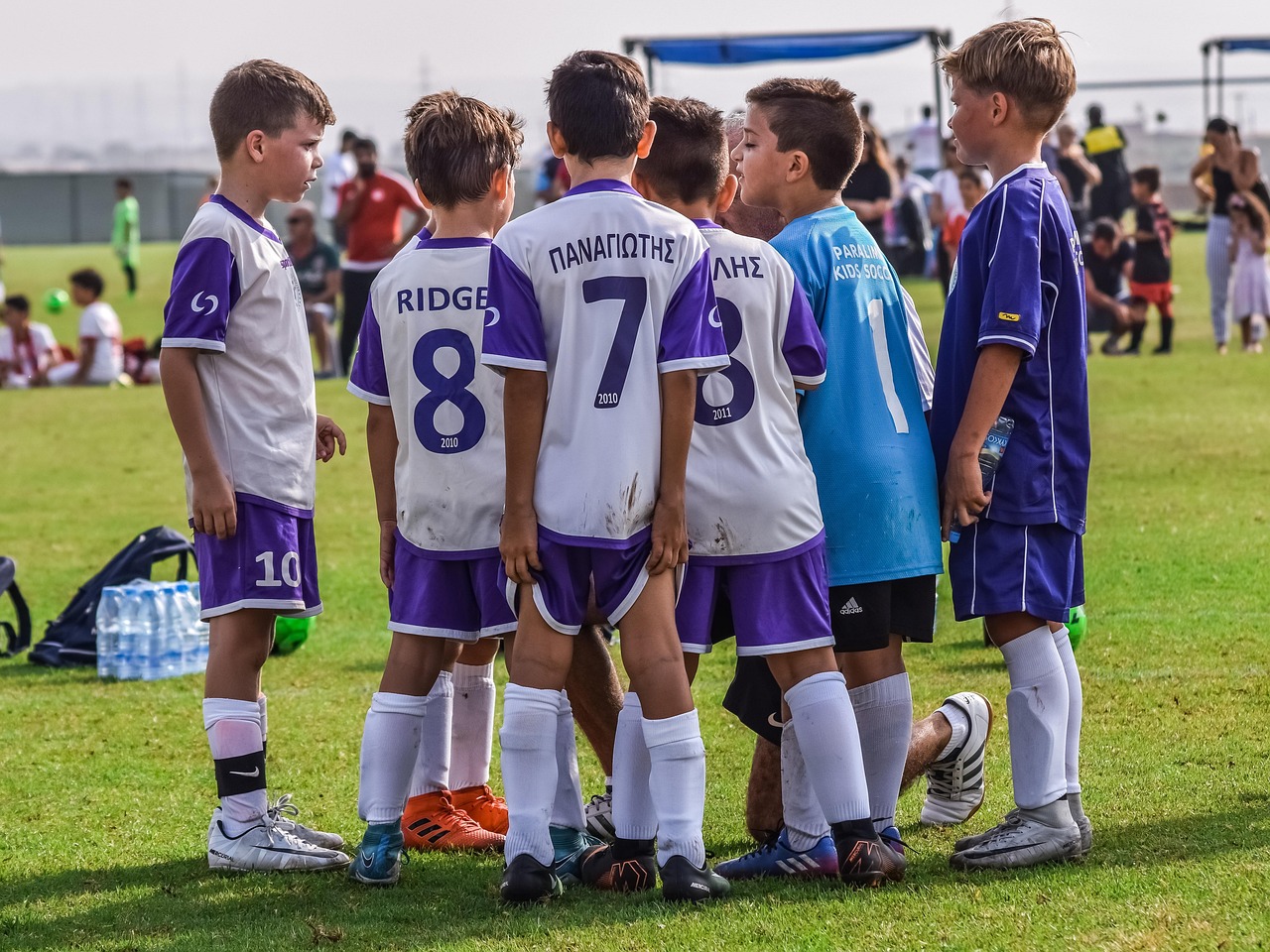 道友请留步：日历知识app详情下载教程