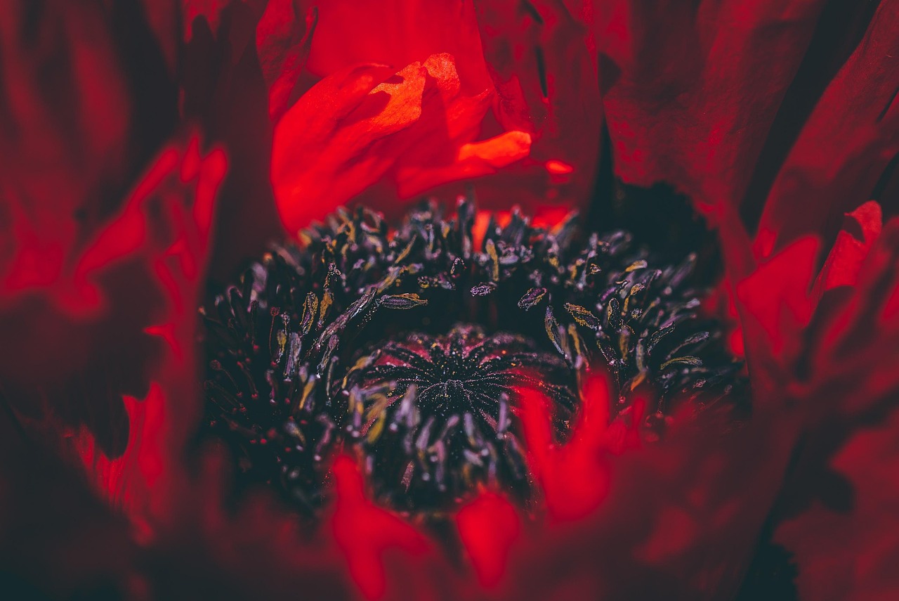 优酷移动实名账号：注册代理报检单位