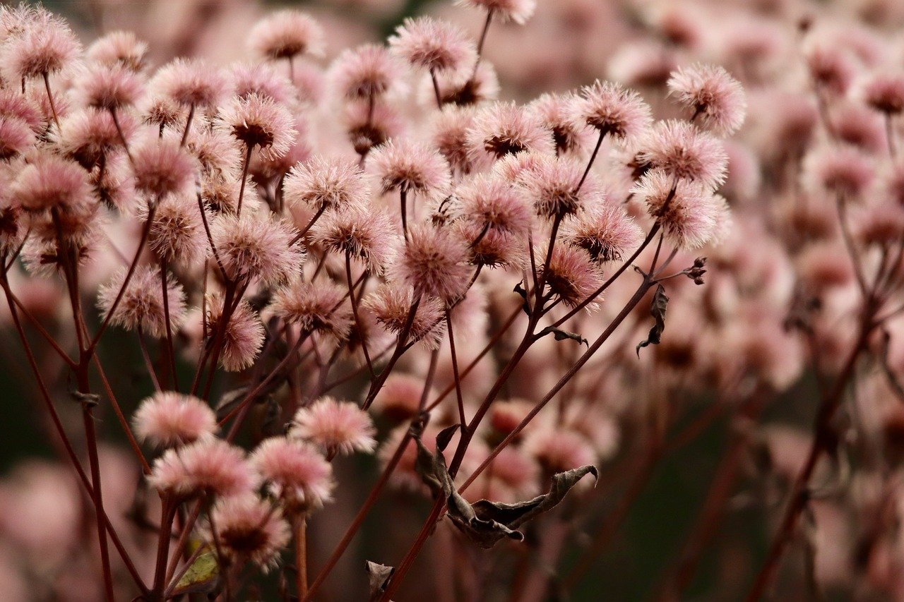 怎么取消流量套餐- 龙泉代理注册价格