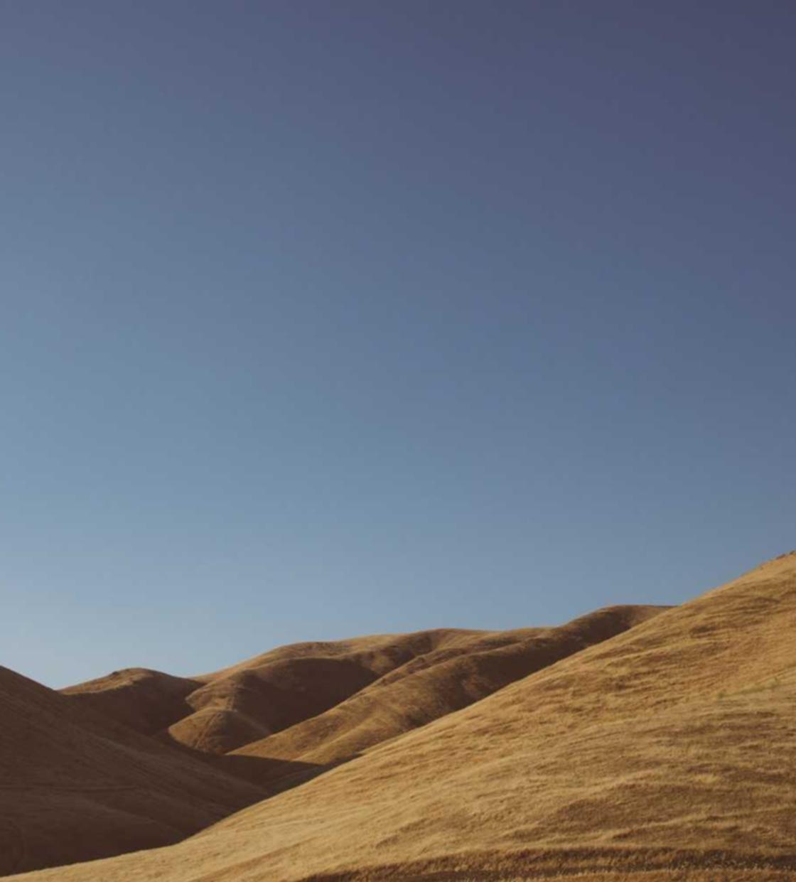 博猫游戏如何通过企业营销实现品牌价值提升